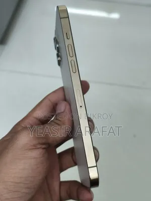 অ্যাপল আইফোন ১২ প্রো ম্যাক্স ১২৮ জিবি গোল্ড
