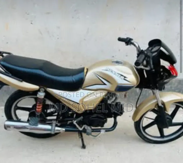 রানার চিতা ১০০ ২০২১ ব্রাউন