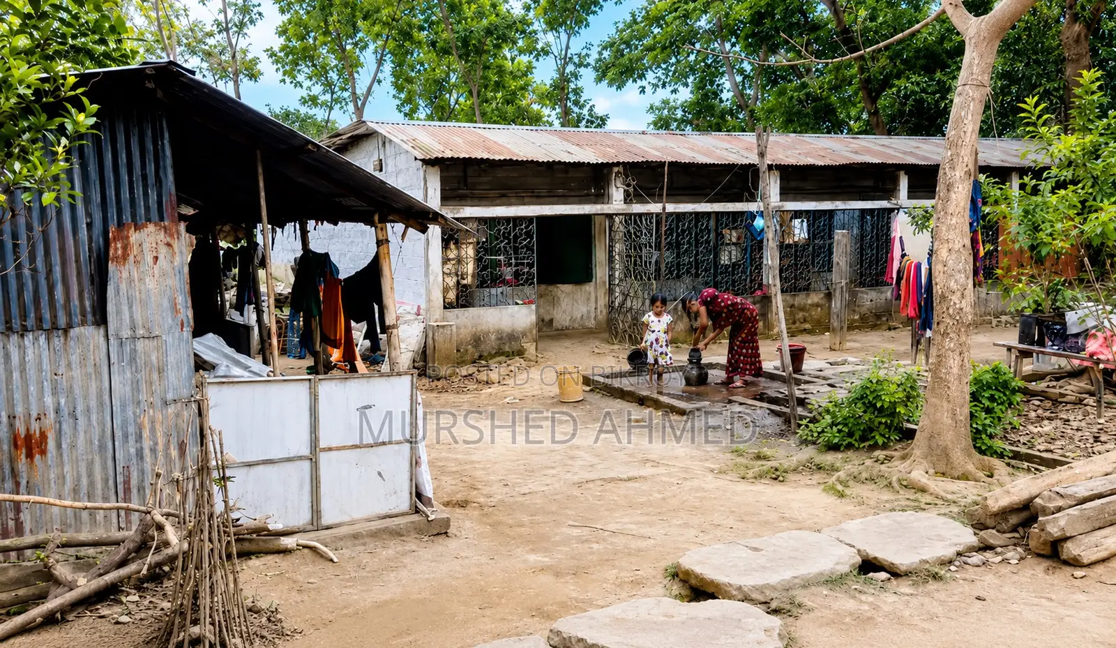 জরুরি বিক্রয়ের জন্য ৬-রুমের কলোনিসহ জমি