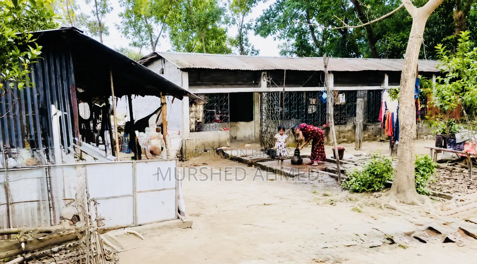 জরুরি বিক্রয়ের জন্য ৬-রুমের কলোনিসহ জমি