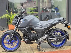 Yamaha FZS V3 2024 Gray