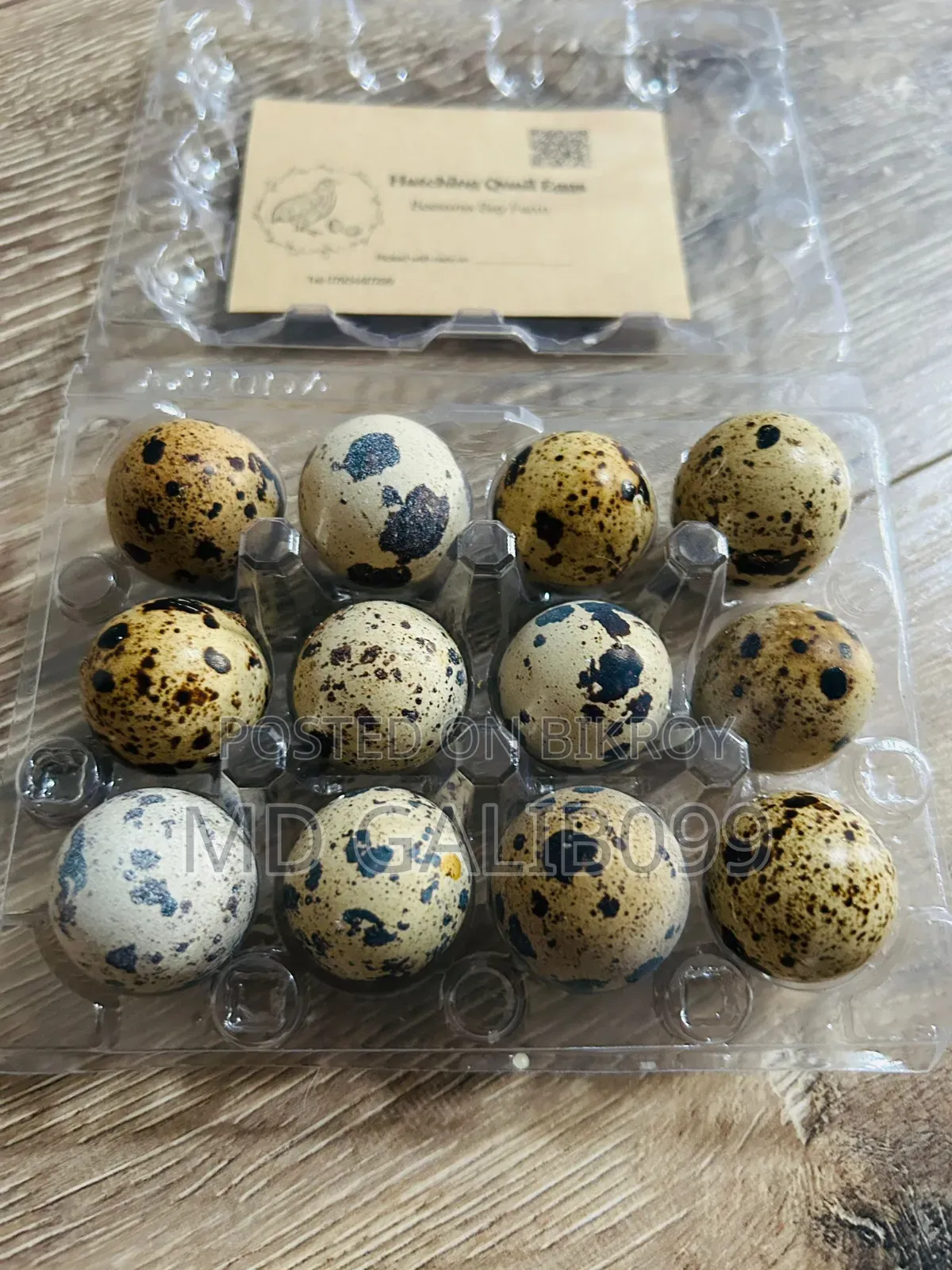European Cotornix Quail Eggs