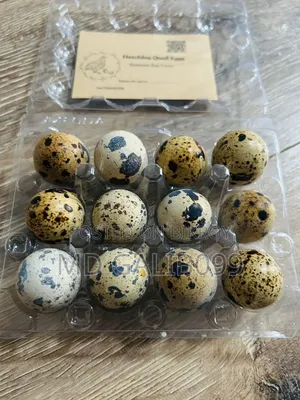 European Cotornix Quail Eggs