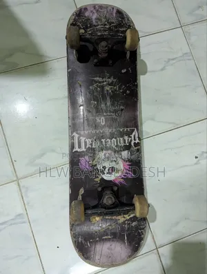 Skate Board