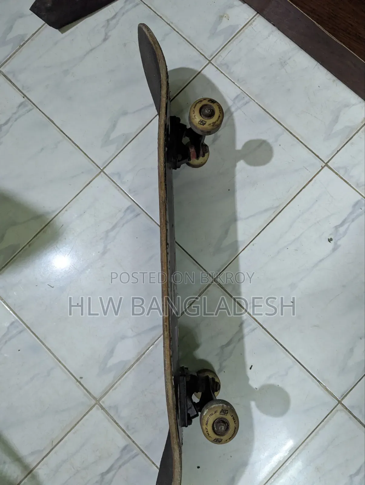 Skate Board