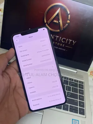 Apple iPhone 11 Pro Max 256 GB Gray