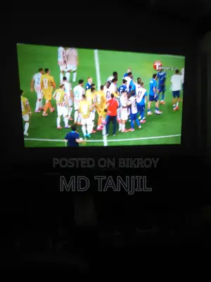 LED Projector