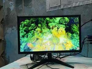 Esonic Monitor