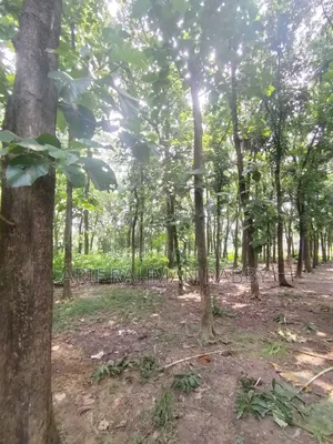 350 Decimal Land for Urgent Sale