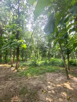 350 Decimal Land for Urgent Sale