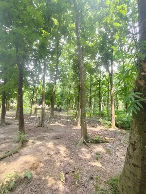 350 Decimal Land for Urgent Sale