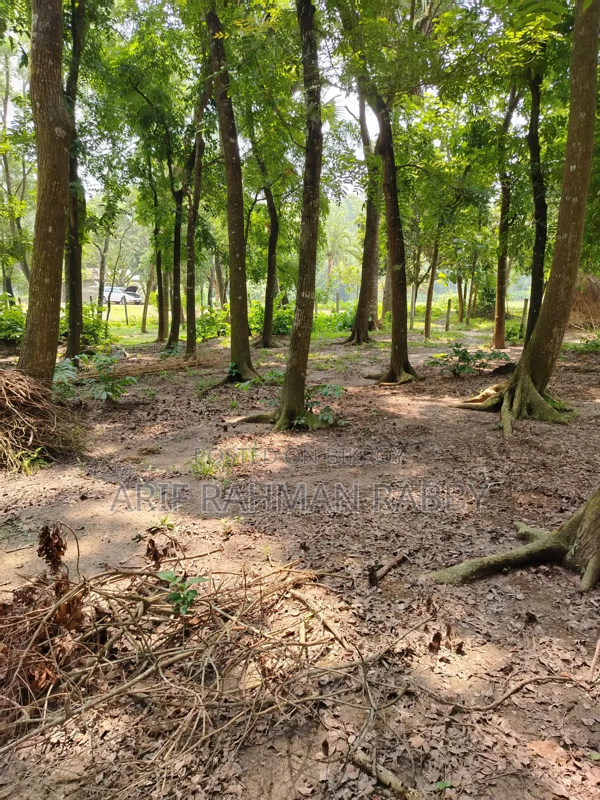 350 Decimal Land for Urgent Sale
