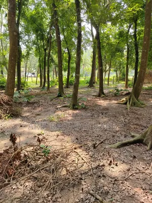 350 Decimal Land for Urgent Sale