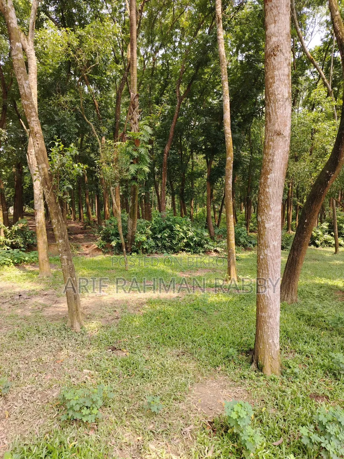 350 Decimal Land for Urgent Sale