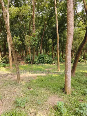 350 Decimal Land for Urgent Sale