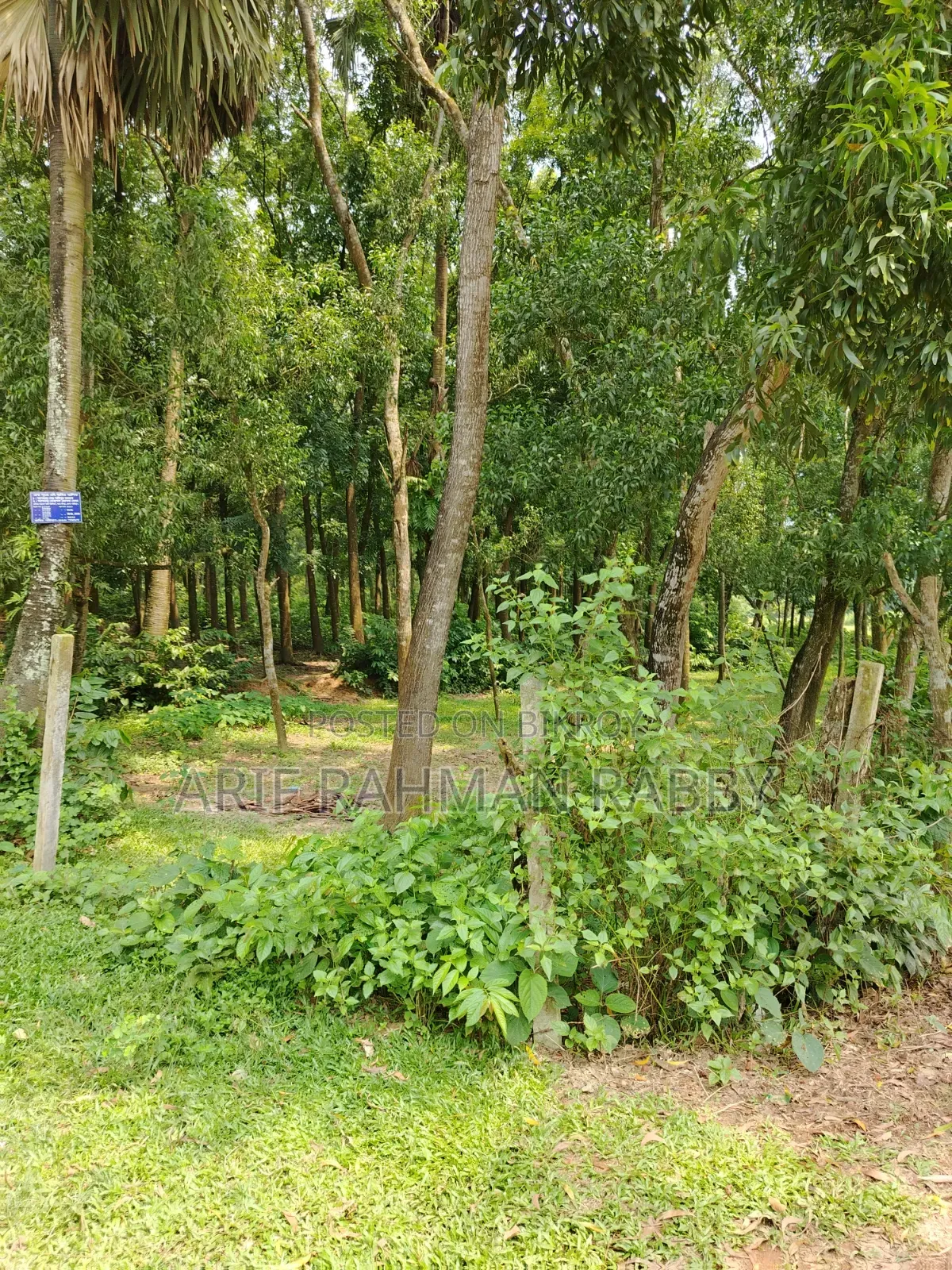 350 Decimal Land for Urgent Sale