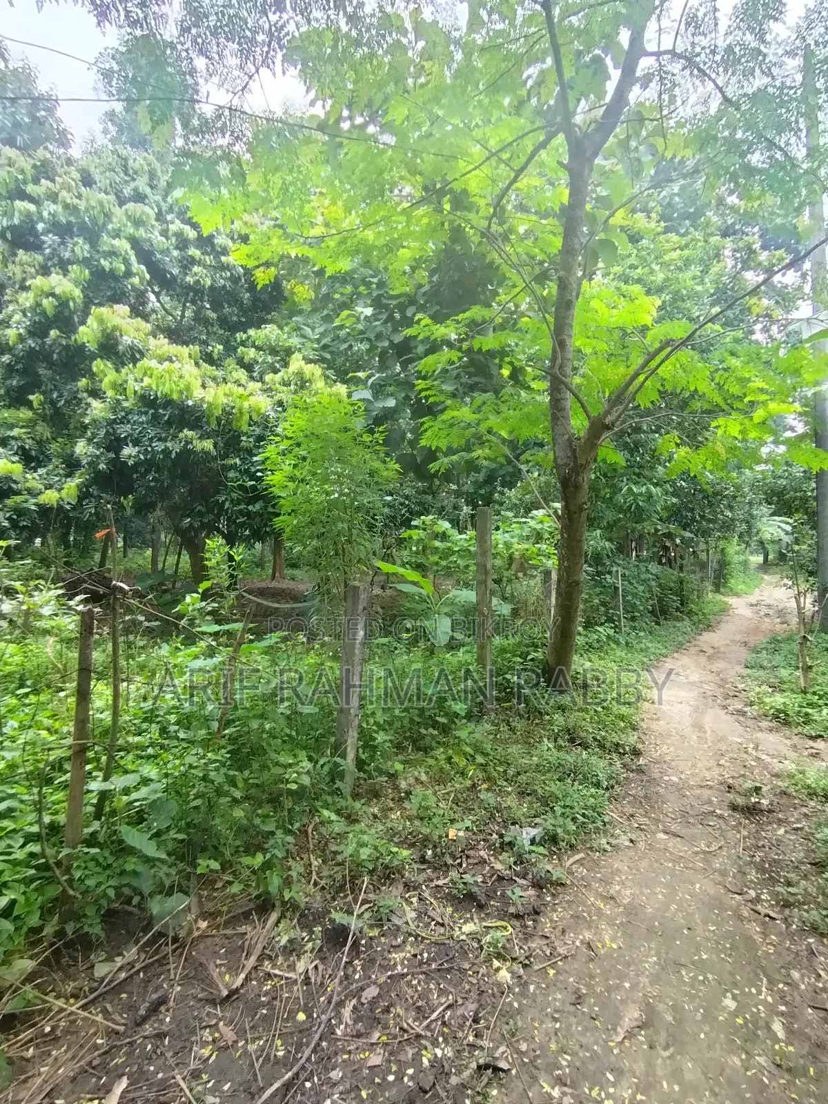 350 Decimal Land for Urgent Sale