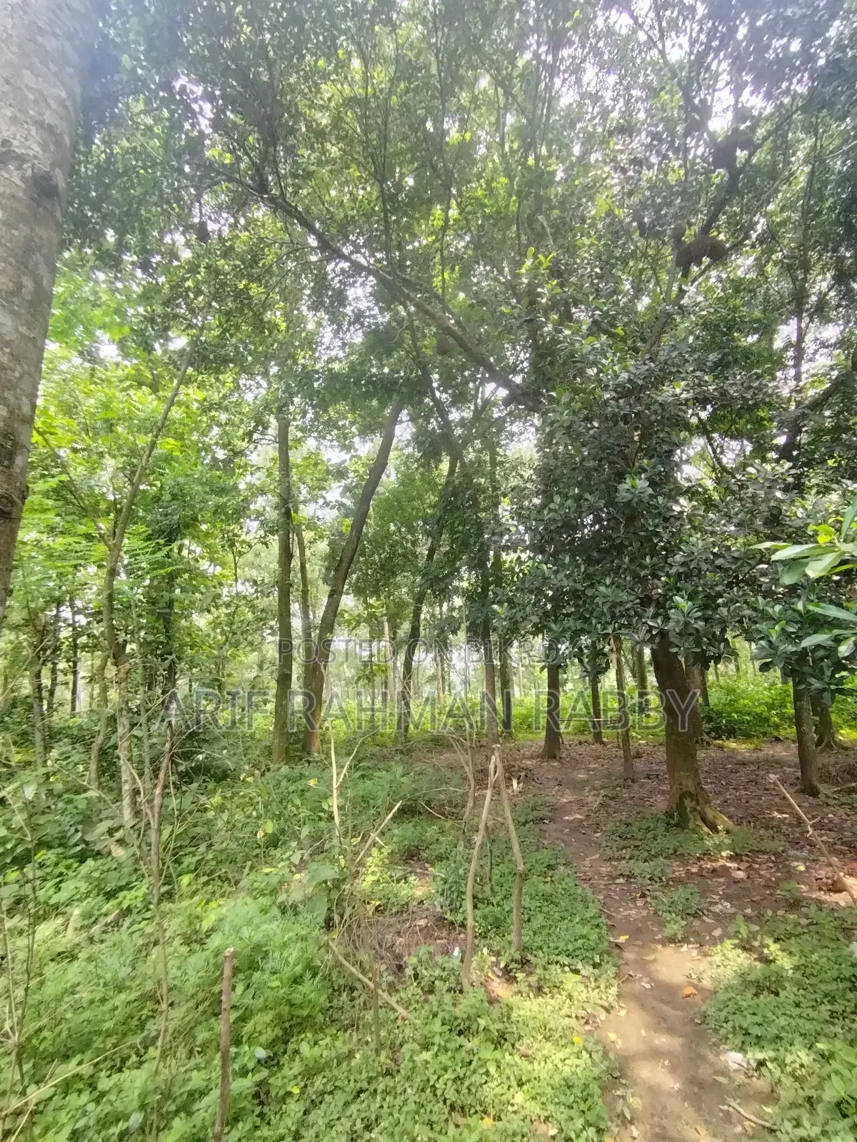350 Decimal Land for Urgent Sale