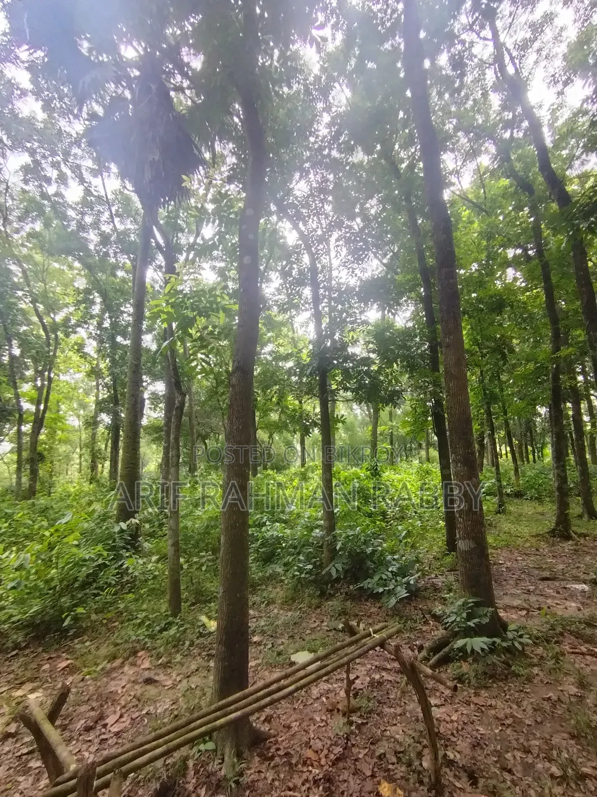 350 Decimal Land for Urgent Sale