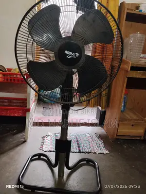 Stand Fan