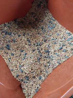 Bird food sold retail and wholesale