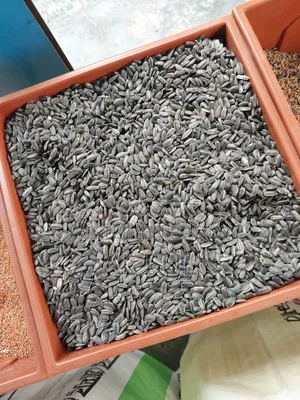 Bird food sold retail and wholesale