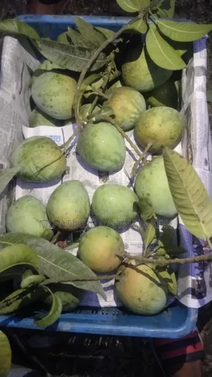 Haribhanga Mango