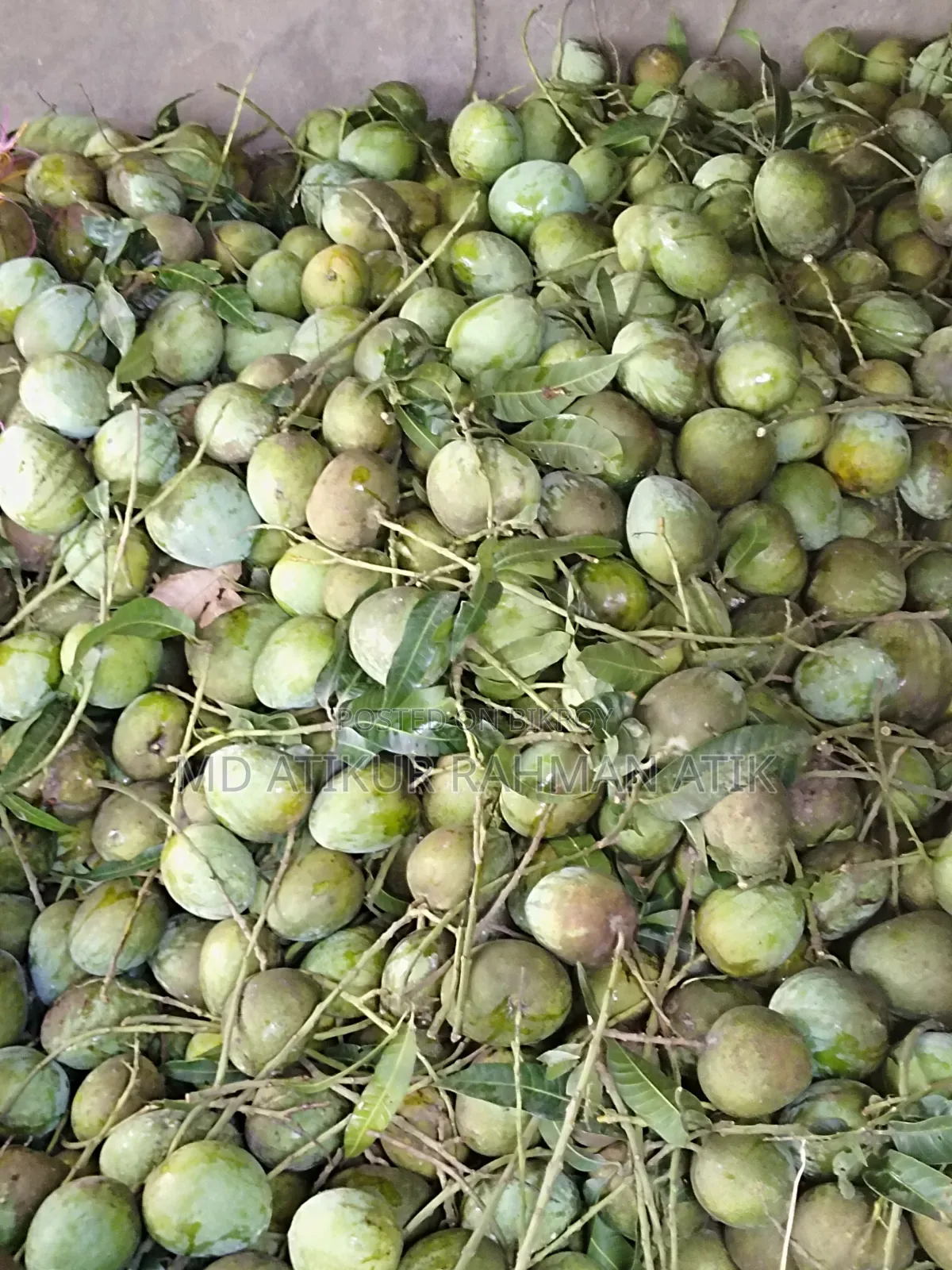 বাড়ি ৪ আম