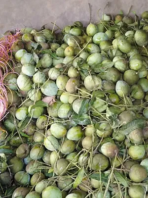 বাড়ি ৪ আম