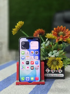 Apple iPhone 13 Pro Max 128 GB Silver