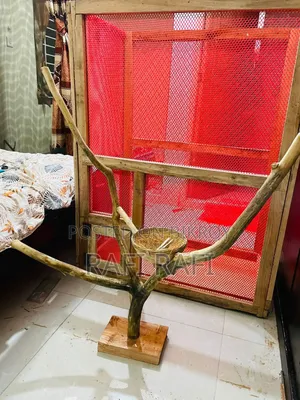 Bird Colony Cage