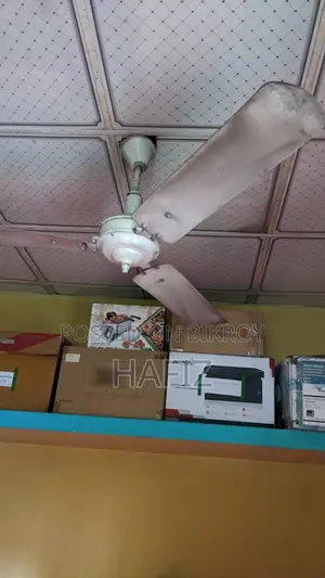 Ceiling Fan