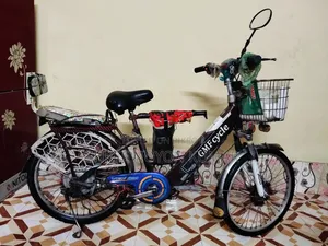 Auto Cycle