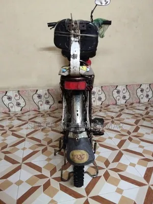 Auto Cycle