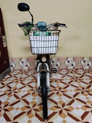 Auto Cycle