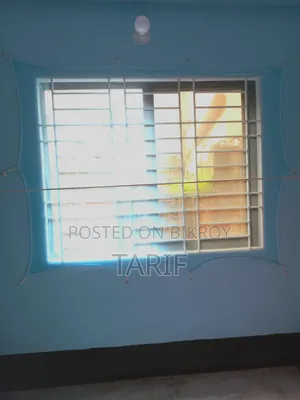 Window Mosquito Net