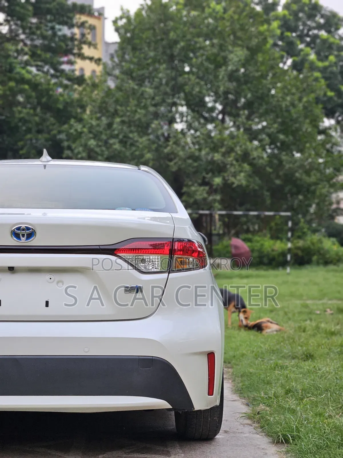 Toyota Corolla 2020 Pearl