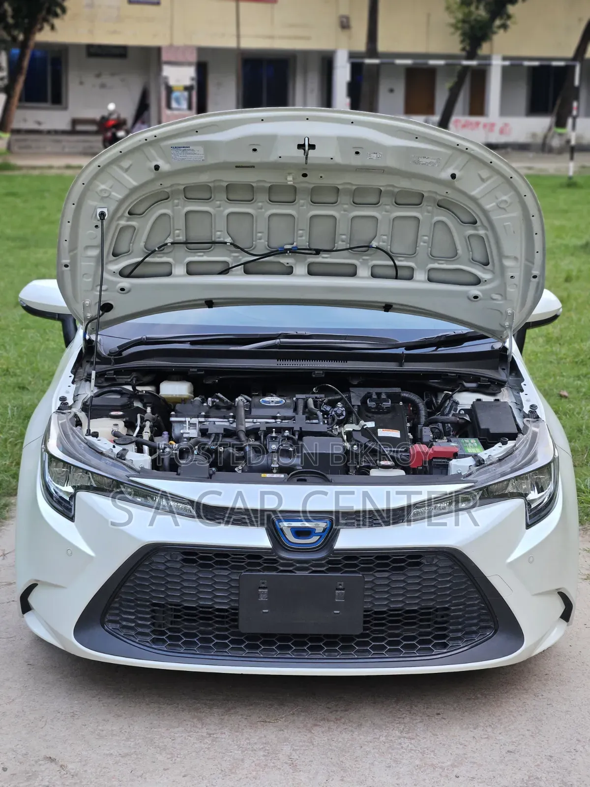 Toyota Corolla 2020 Pearl