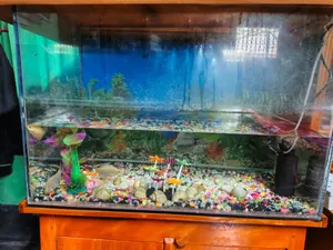 Aquarium