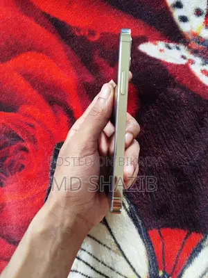 অ্যাপল আইফোন ১২ প্রো ১২৮ জিবি গোল্ড