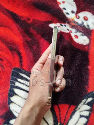 অ্যাপল আইফোন ১২ প্রো ১২৮ জিবি গোল্ড