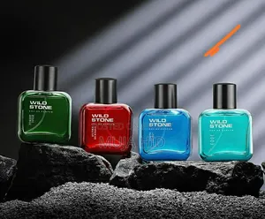 Wild Stone Gift Box