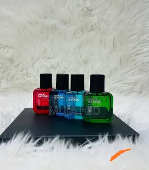 Wild Stone Gift Box