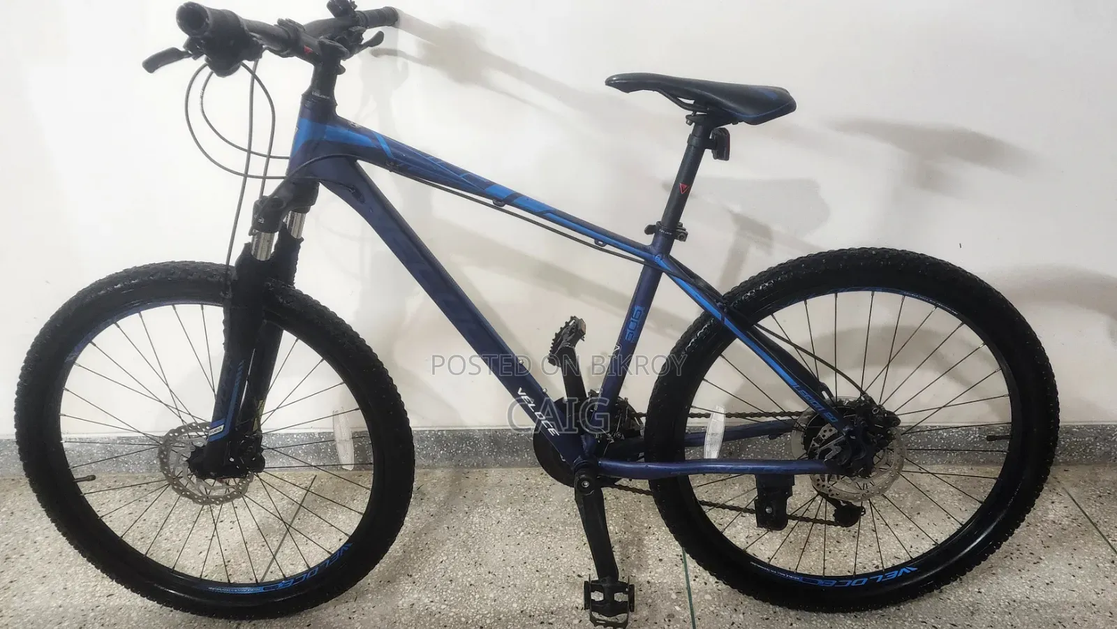 Veloce Legion 50 Blue(2023)