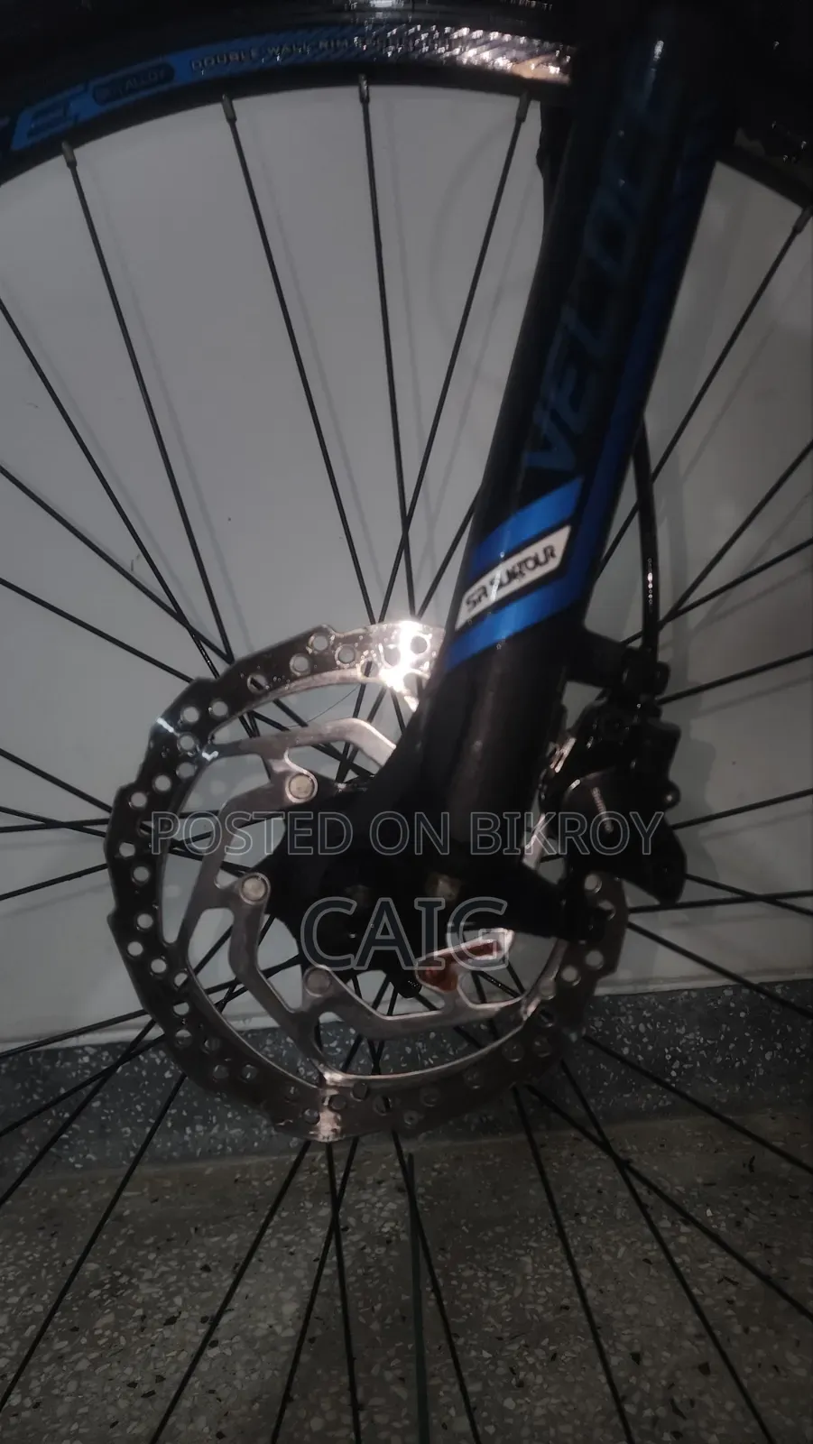 Veloce Legion 50 Blue(2023)