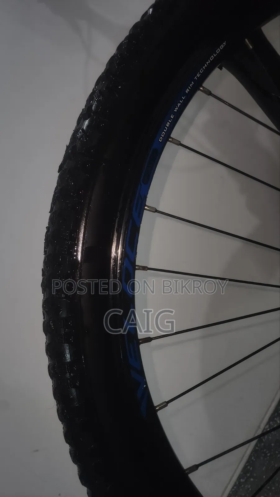 Veloce Legion 50 Blue(2023)
