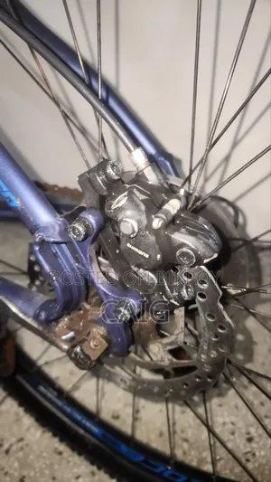 Veloce Legion 50 Blue(2023)