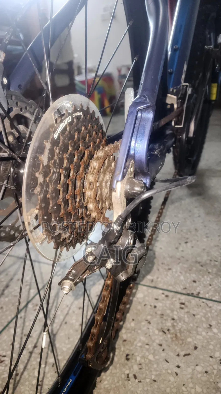 Veloce Legion 50 Blue(2023)