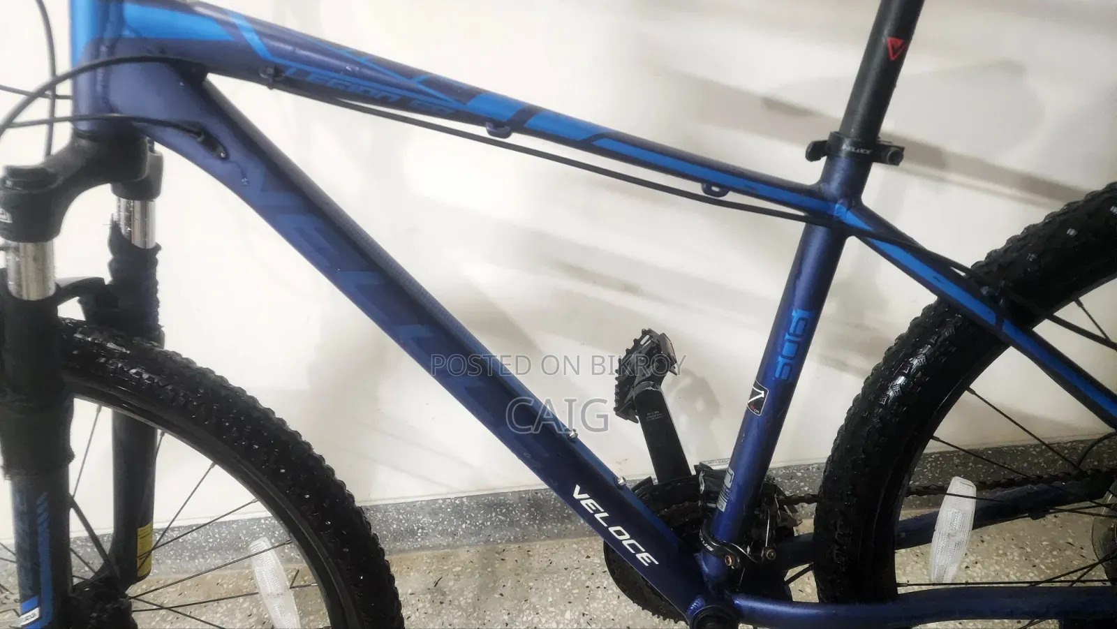 Veloce Legion 50 Blue(2023)