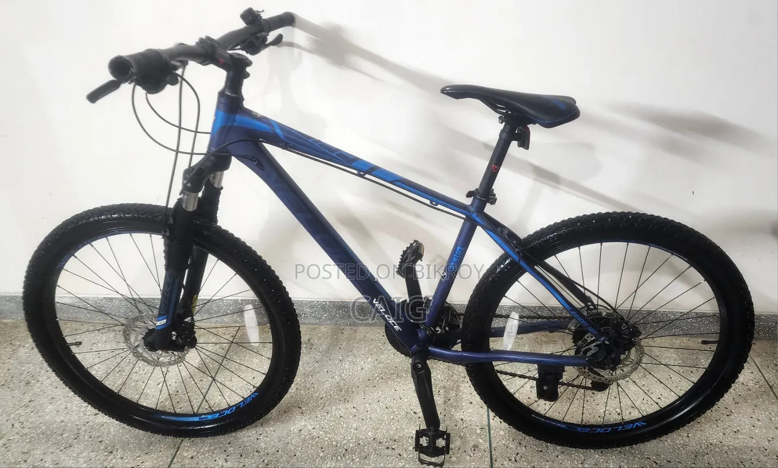 Veloce Legion 50 Blue(2023)